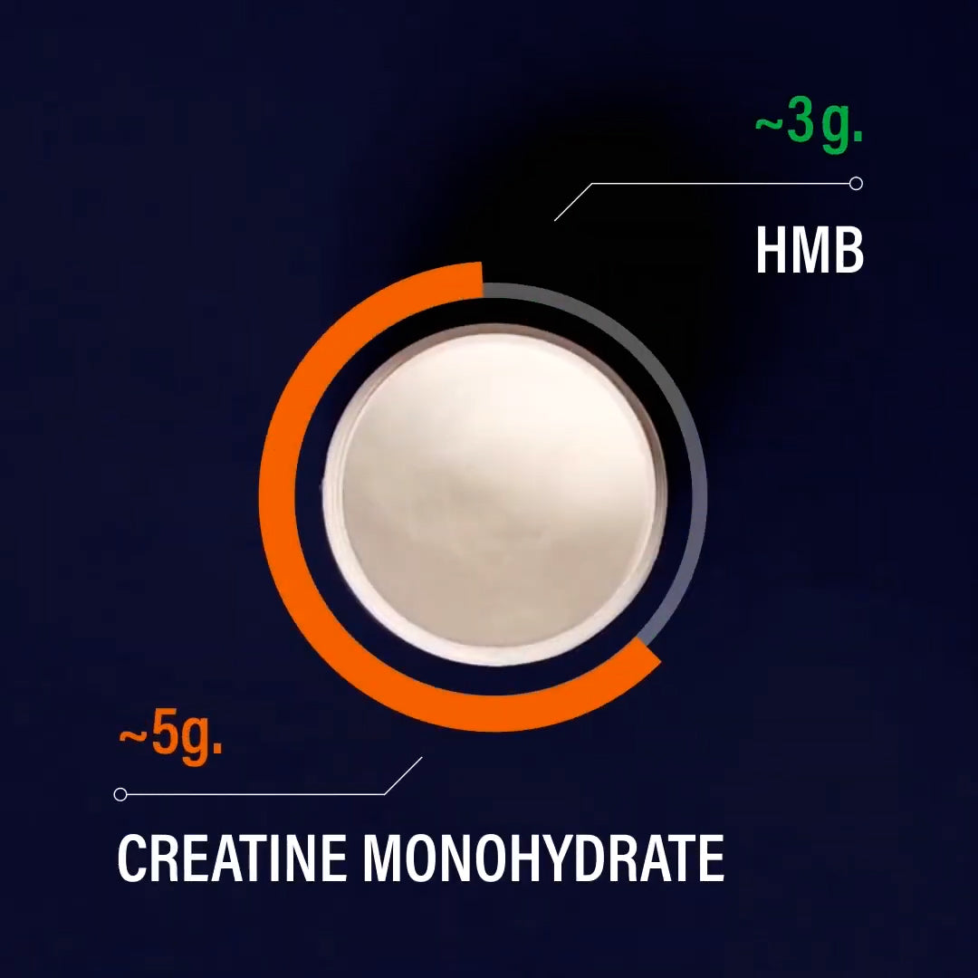Blonyx HMB+ Creatine Supplement | Creatine with HMB for